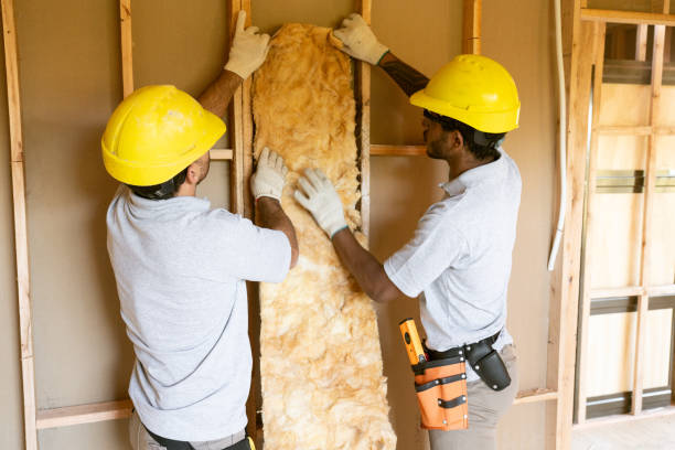 Best Spray Foam Insulation  in USA