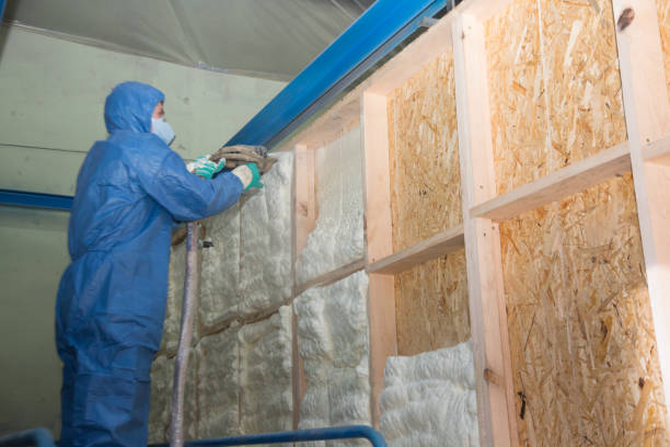 Best Insulation Removal  in USA